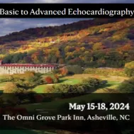 Mayo Clinic Basic to Advanced Echocardiography 2024