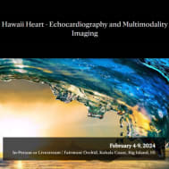 Hawaii Heart: Echocardiography & Multimodality Imaging 2024 Hawaii Heart: Echocardiography & Multimodality Imaging 2024