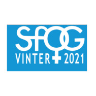 SFOG WINTER MEETING 2021 SFOG WINTER MEETING 2021