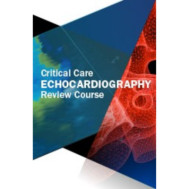 Critical Care Echocardiography Review Course Critical Care Echocardiography Review Course