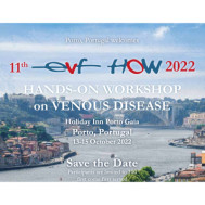 11th Annual EVF HOW 2022 11th Annual EVF HOW 2022
