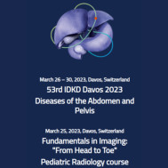 53rd IDKD Davos 2023 Diseases of the Abdomen and Pelvis 53rd IDKD Davos 2023 Diseases of the Abdomen and Pelvis