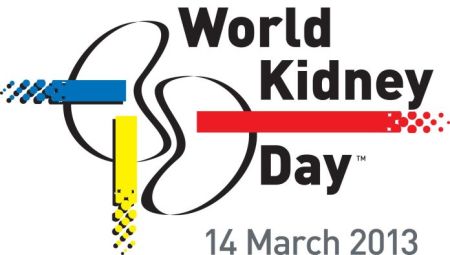 Today is the World Kidney Day!