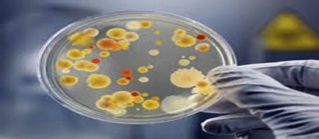 Attacking MRSA With Metals from Antibacterial Clays