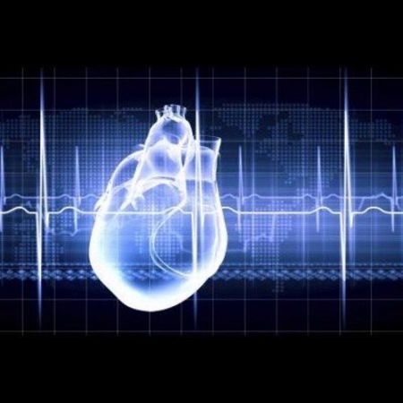 Near-Death Brain Signalling Speeds Cardiac Demise 