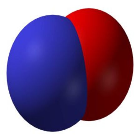 Nitric Oxide Plays Critical Role in Respiratory Cycle