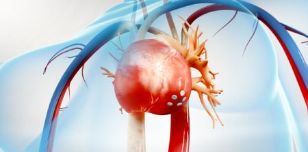 Transcatheter Aortic Valve Implantation For Failed Bioprostheses