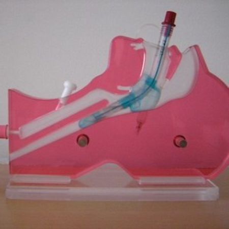 Model of laryngeal tube