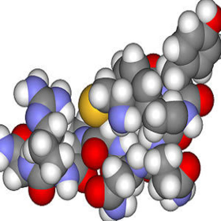 Study: Vasopressin vs. Norepinephrine in Septic Shock - VANISH trial