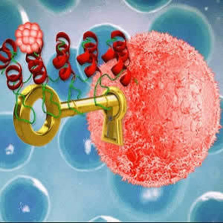 This is a radiopharmaceutical labeled with isotope technetium-99 identifies cancer cell