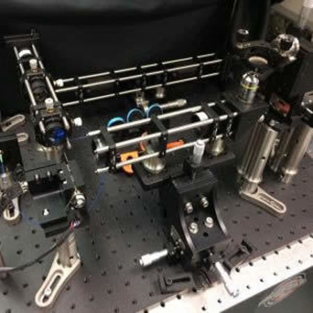 This is an image of the optical coherence microscopy (OCM) system.