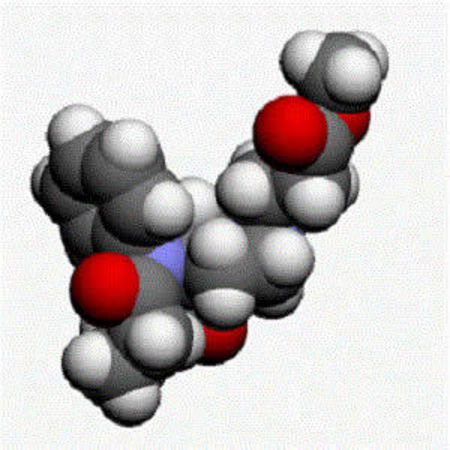 New Dosing Models Increase Safety of Remifentanil