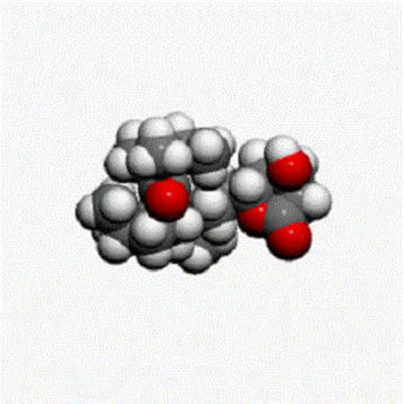 Association between statin and sepsis outcome