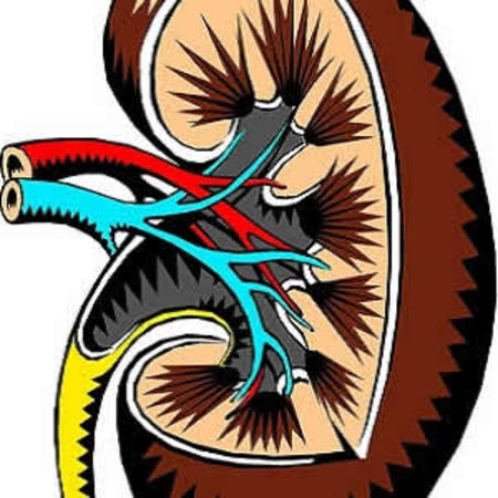 Augmented renal clearance: the need for guidelines