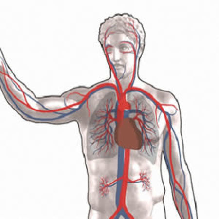 Inspiratory muscle training well-tolerated in ICU patients