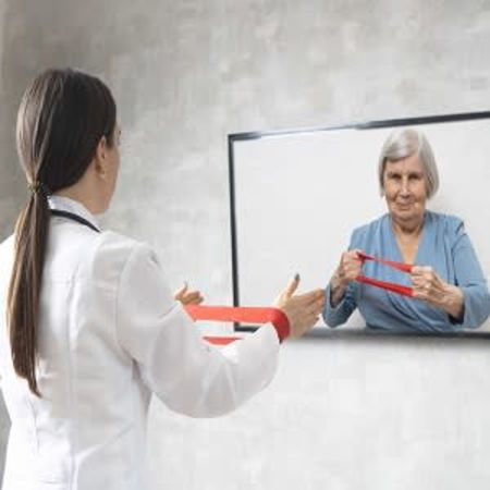 More Progress in the Space of Telehealth: Telehealth in Physical Therapy 