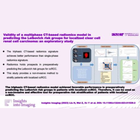 New Radiomics Approach for Leibovich Risk Stratification in Renal Carcinoma