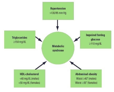 People with Metabolic Syndrome Face Higher Cardiovascular Death Risk