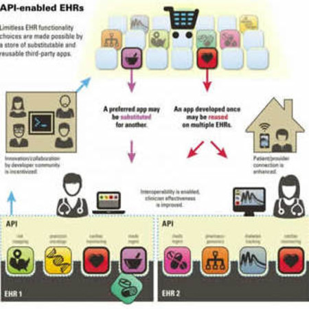 An ecosystem of apps supported by a uniform public application programming interface for healthcare data