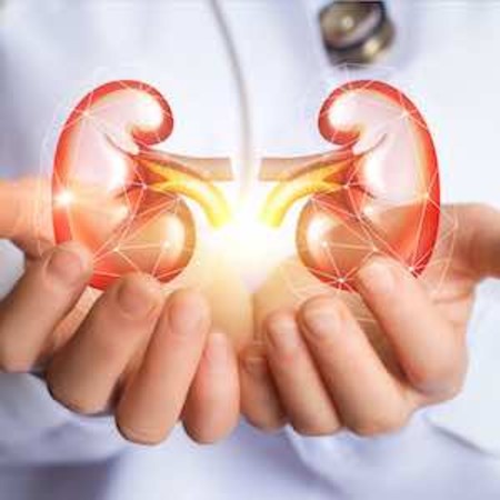 Doctor holding image of kidneys, credit iStock.