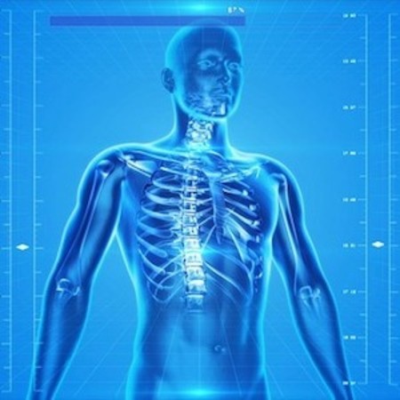 How the Human Body Can Make Data Networks Safer