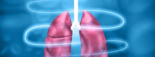 Enhanced Prediction of Lung Ablation Zones Using Data-Driven Deep Learning