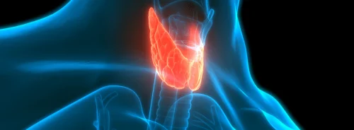 First-Line FCH PET/CT vs. MIBI SPECT/CT in Primary Hyperparathyroidism