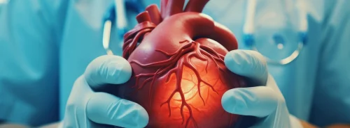 Breakthrough: First Beating-Heart Transplants