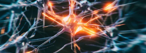 AI Could Personalise Deep Brain Stimulation for Parkinson&#039;s Disease 