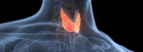 Ultrasound-Based Radiomics Detect Lymph Node Metastasis in Thyroid Cancer