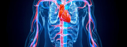 Fixed-Dose Combination Therapies and Cardiovascular Mortality and Events