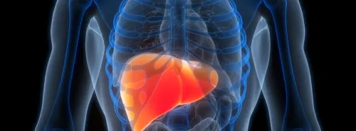 Precision Therapy for Liver Cancer: Insights from Human-Correlated Models