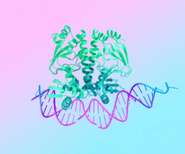 AlphaFold 3 by Google DeepMind Transforms Molecular Understanding 