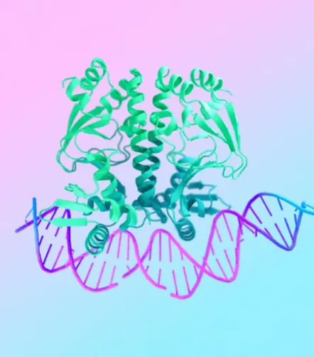 AlphaFold 3 by Google DeepMind Transforms Molecular Understanding 