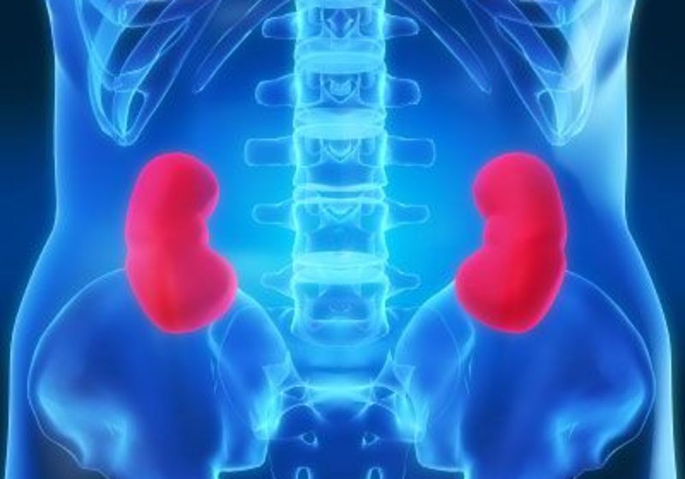 Robotic Ultrasound Has Added Benefit in Removing Kidney Cancers