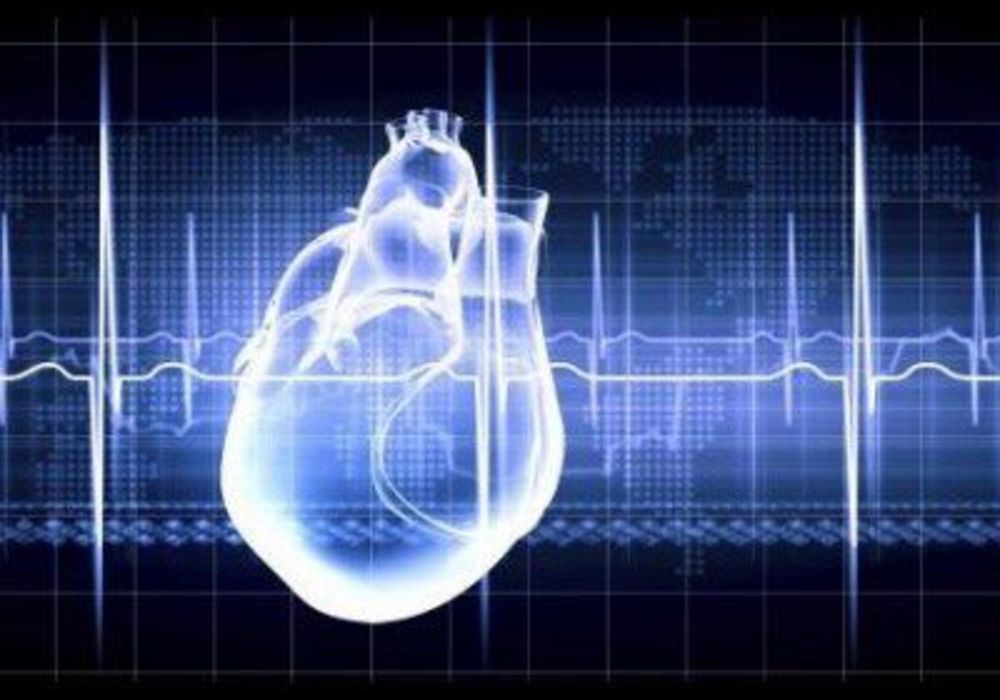 Near-Death Brain Signalling Speeds Cardiac Demise 