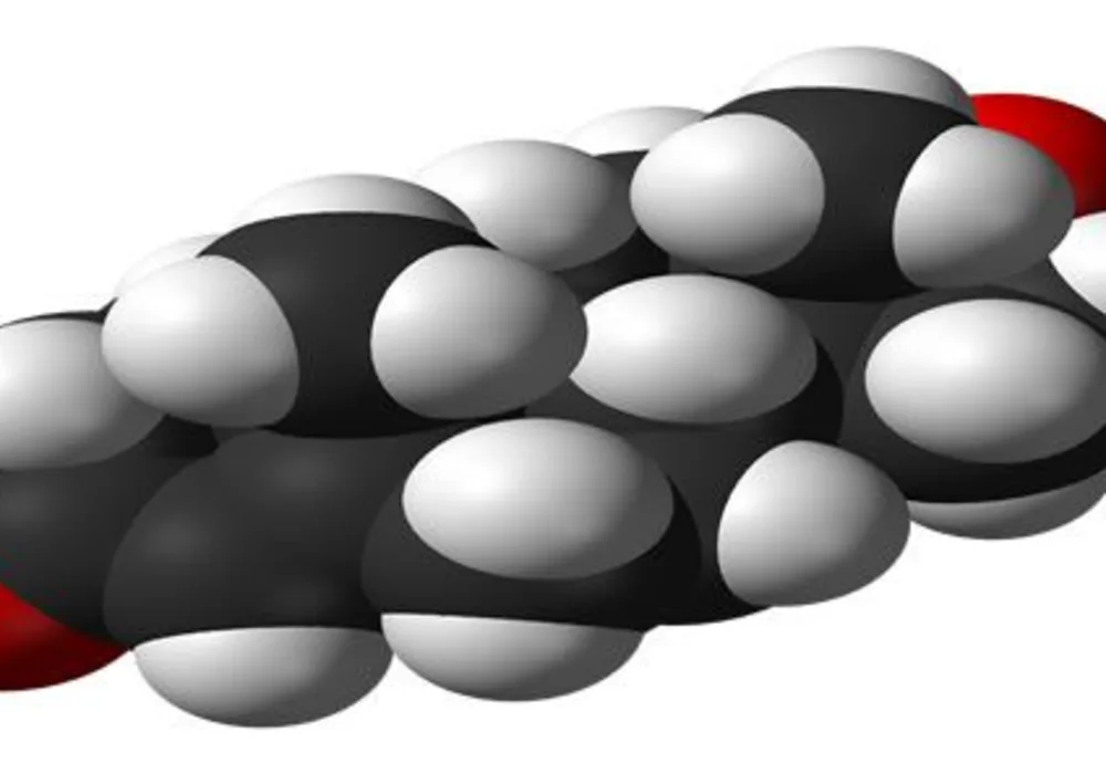 High Testosterone Levels Increase Risk of Heart Disease 