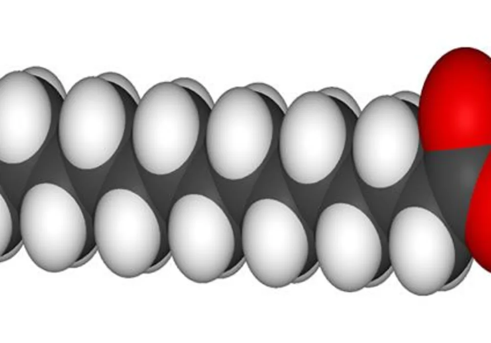 CAD and Saturated Fat