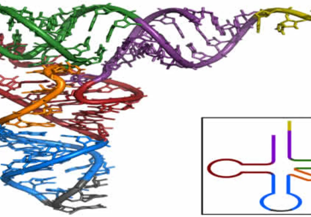 Pandora&rsquo;s Box of Cancer Biomarkers