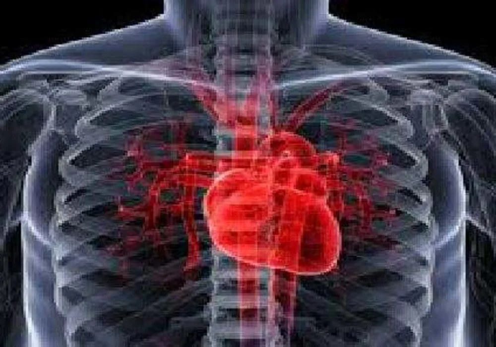 Heart Attack: Stem Cells May Enhance Cardiac Repair