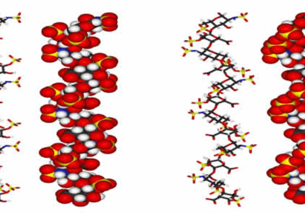 Heparin Antidote Under Development