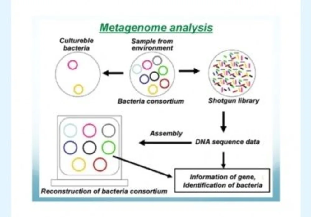 New DNA Sequencing Method to Diagnose TB