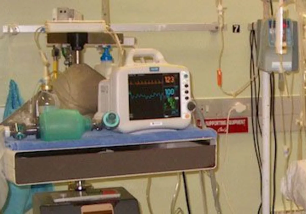 Study: Decrease in Risk of Death Among ICU Patients With Severe Sepsis 