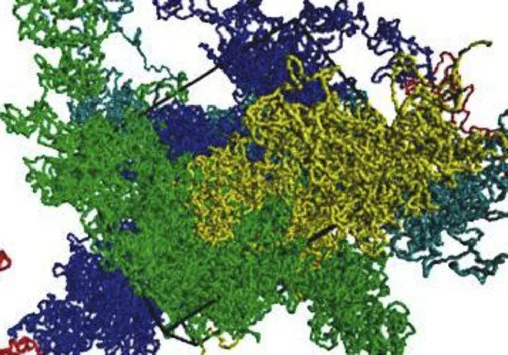 25 Years of Computer Progress Benefit DNA Study