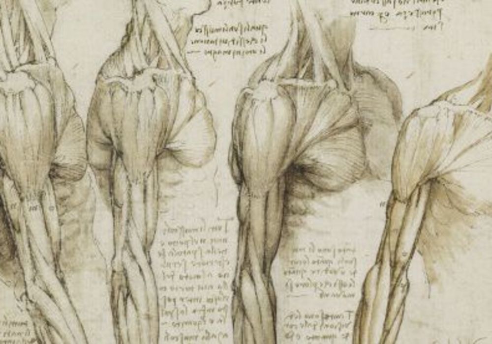 Edinburgh Exhibition to Display Medical Images Alongside Leonardo Da Vinci&#039;s Anatomical Research 