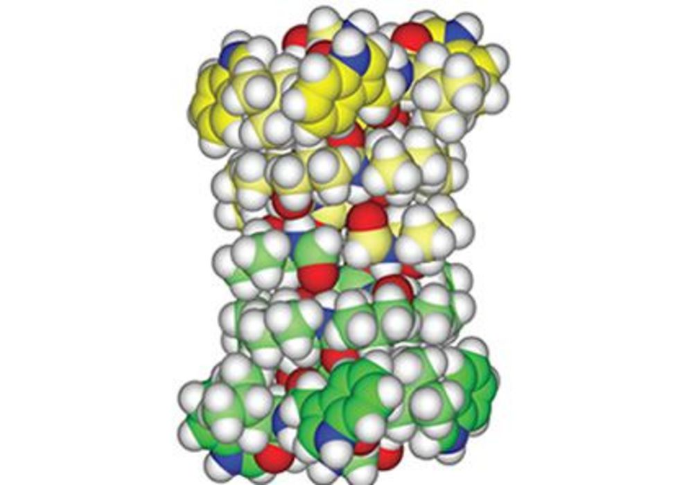 New Screening Method May Identify Drug Toxicity