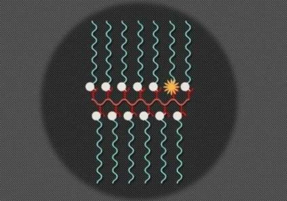 Nanoparticles Perform MRI, Fluorescent Imaging