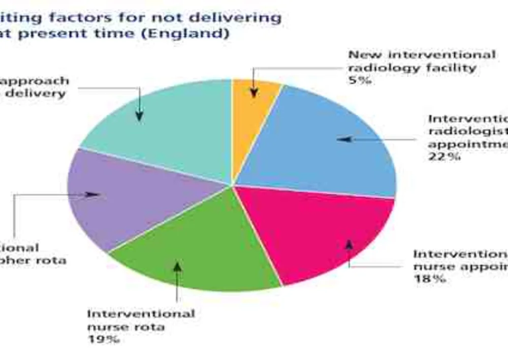 CIRSE 2014: The Ideal Interventional Radiology Service 