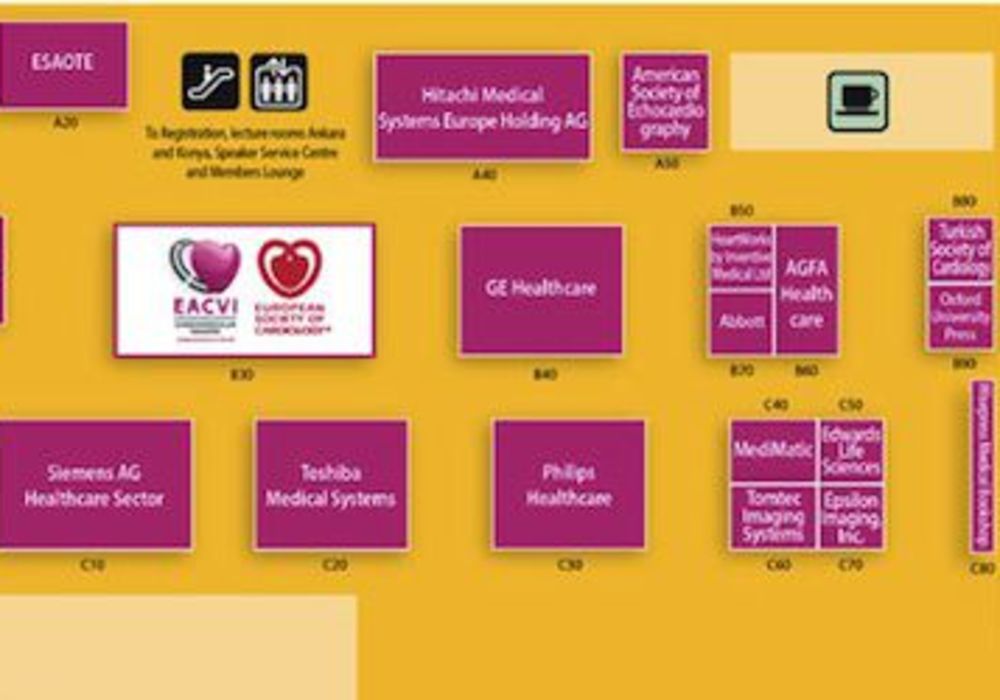 EuroEcho-Imaging 2013: No Heart Disease Diagnosis and Treatment Without Imaging