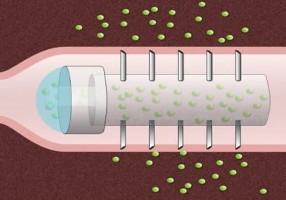 Novel Capsule Could Replace Injections 